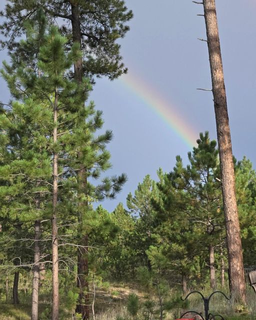 A Rainbow Gift from the Black Forest—-Sunday, 15, 2024