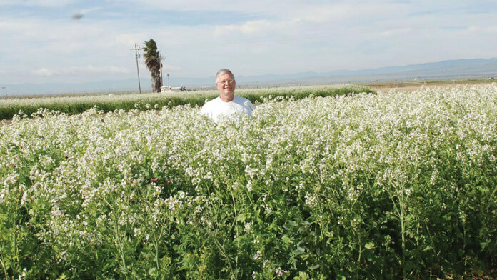 20-Year UC Davis Study Focuses On ‘Conservation Agriculture’