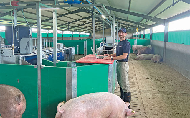 Technology and animal welfare improve piggery profits