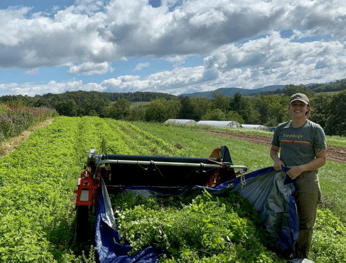 What Loves to Grow at Katydid Hill