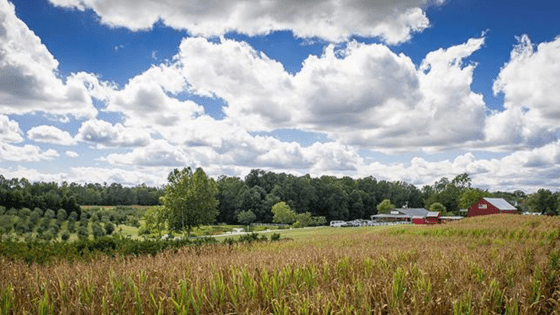 Diversity is Key for this Fifth Generation Farm