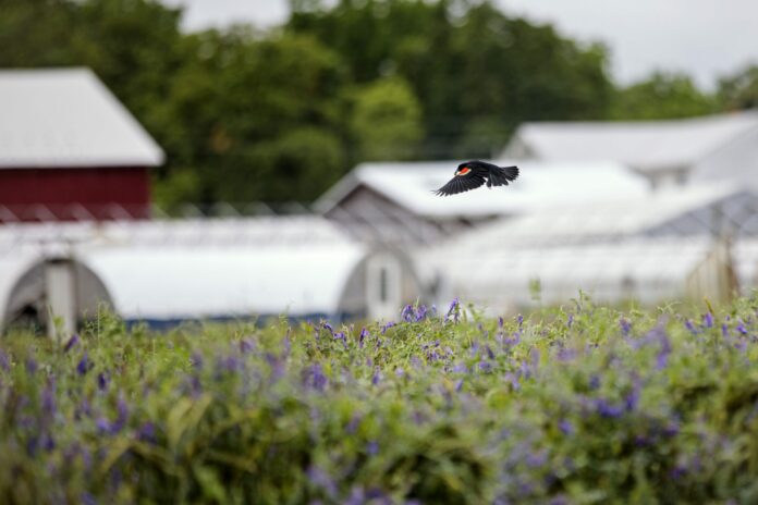 Inflation Reduction Act invests $40 billion in climate-smart agriculture