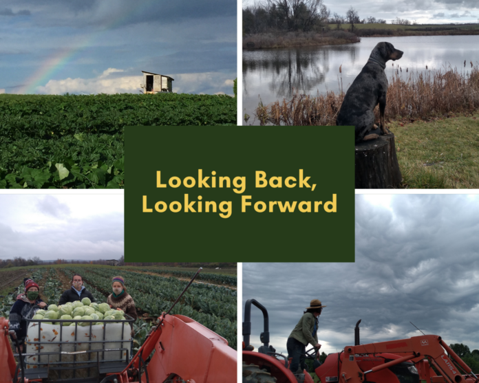 Looking Back, Looking Forward... CSA Year End Review and 2021 Sign Ups Coming Soon! — Hartwood Farm