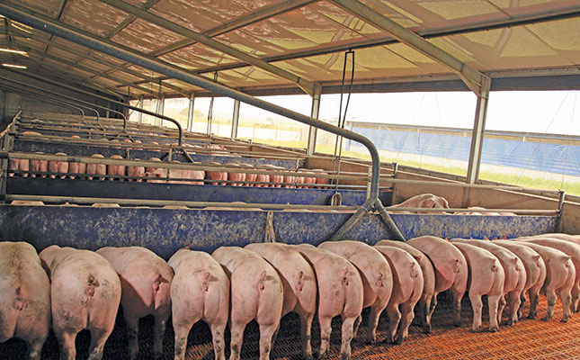 The future of pig genetics